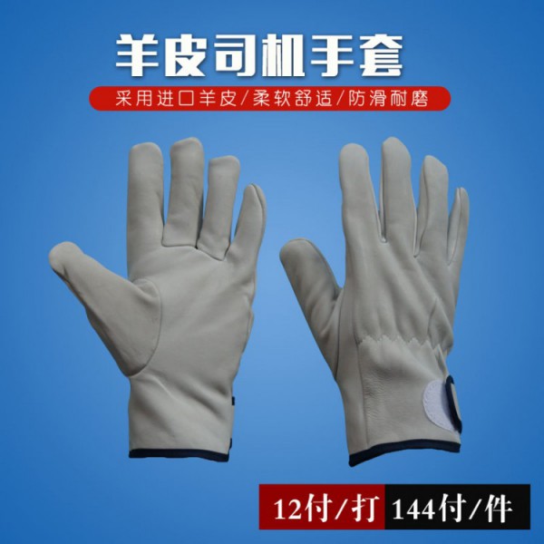 Ƥ˾纸